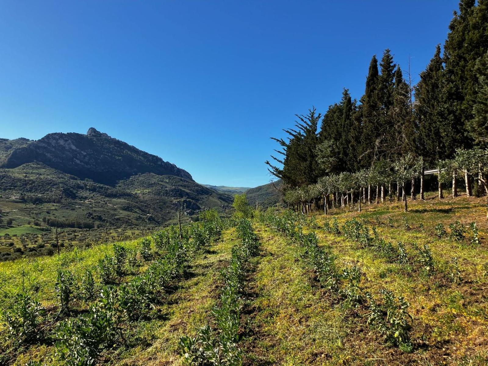 Le Case Di Cardellino - Agrispa Sclafani Luaran gambar