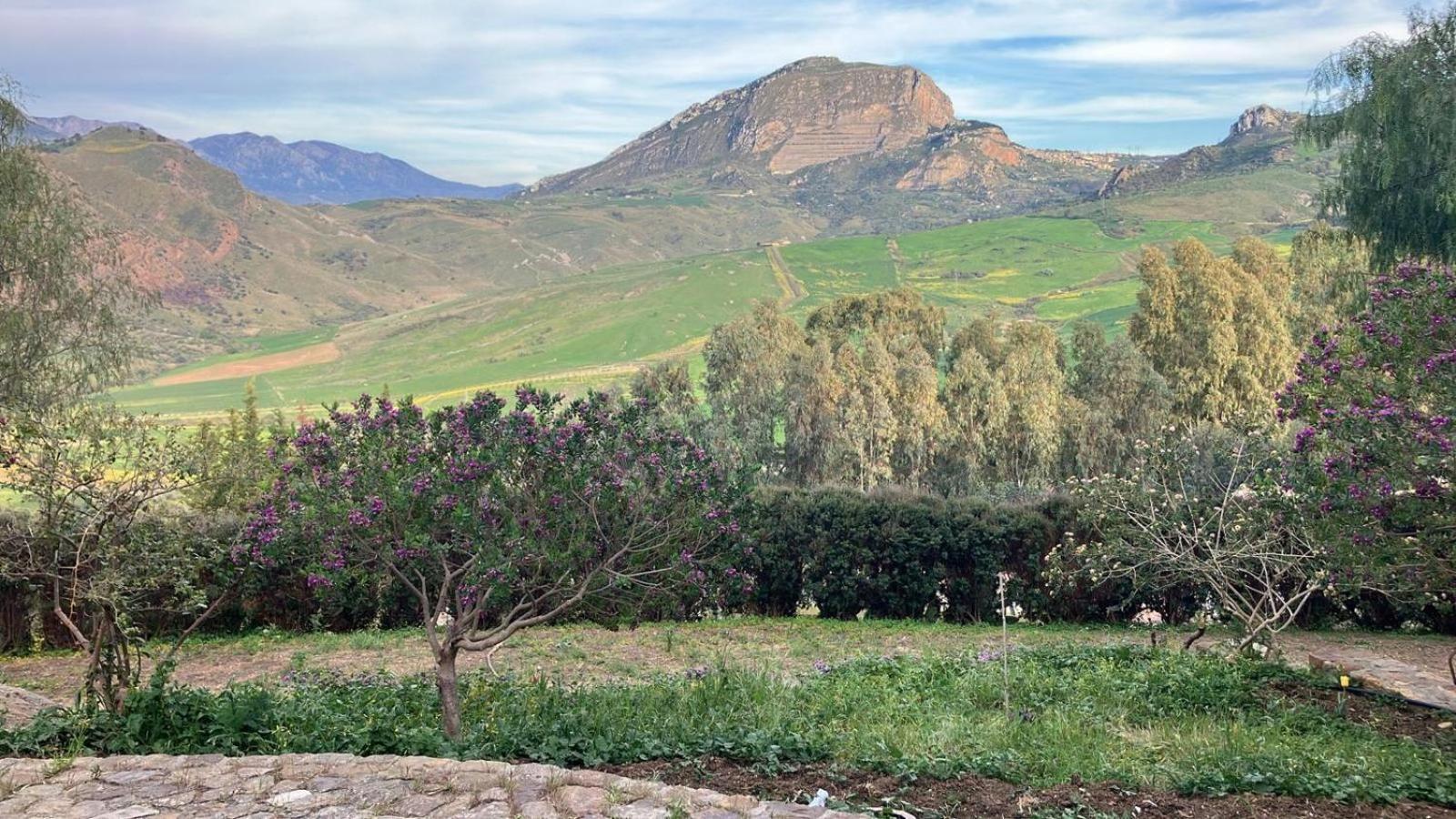 Le Case Di Cardellino - Agrispa Sclafani Luaran gambar